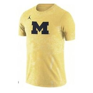 Nike Jordan Michigan State Wolverines Football Tee DD5522-728 Mens Medium Yellow